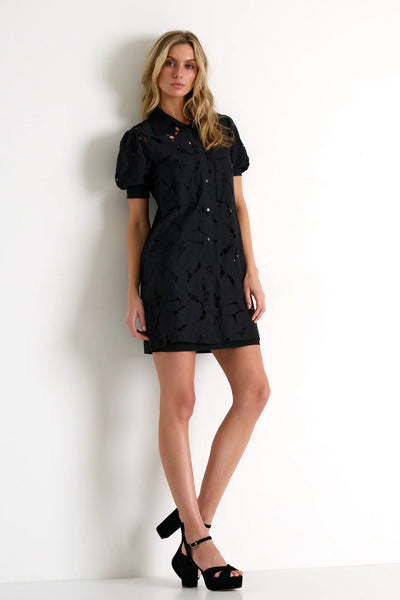 Lace Puff Sleeve Dress In Black-Shan-Tocca Finita